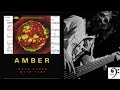 Amber by 311 - Bass Cover (tablature & notation included)
