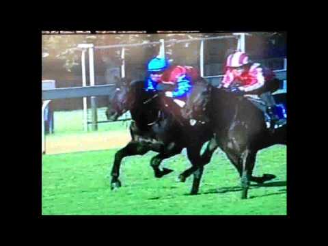 Jackson - 2012 Durban July Gallop & Panel Commentary