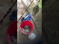 Super catch! Bluegill / Brim fishing! Liberty Reservoir, MD