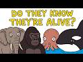 The Animals That Know They're Alive DEFAULT Thumbnail