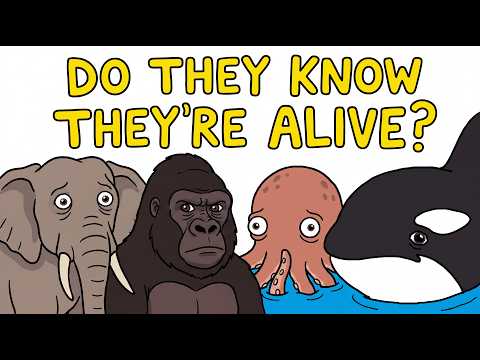 The Animals That Know They're Alive