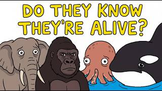 The Animals That Know They're Alive MQDEFAULT Thumbnail