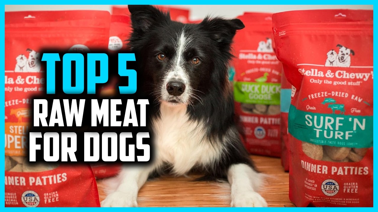 ✅ Top 5 Best Raw Meat For Dogs (Before You Buy This… Watch!)
