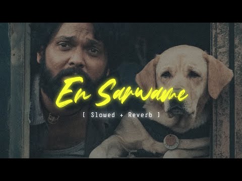 En Sarwame song [ slowed + reverb ] | 777 charlie song lo-fi | Malayalam slowed song | lyrics hub