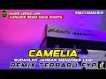 CAMELIA REMIX LAMPUNG NUBASTA KARAOKE NADA WANITA