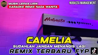Download lagu CAMELIA - REMIX LAMPUNG NUBASTA KARAOKE NADA WANITA mp3
