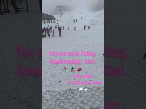 #shorts #shigakogen #kumanoyu #japow #today #nagano #ski #snowboarding #sled