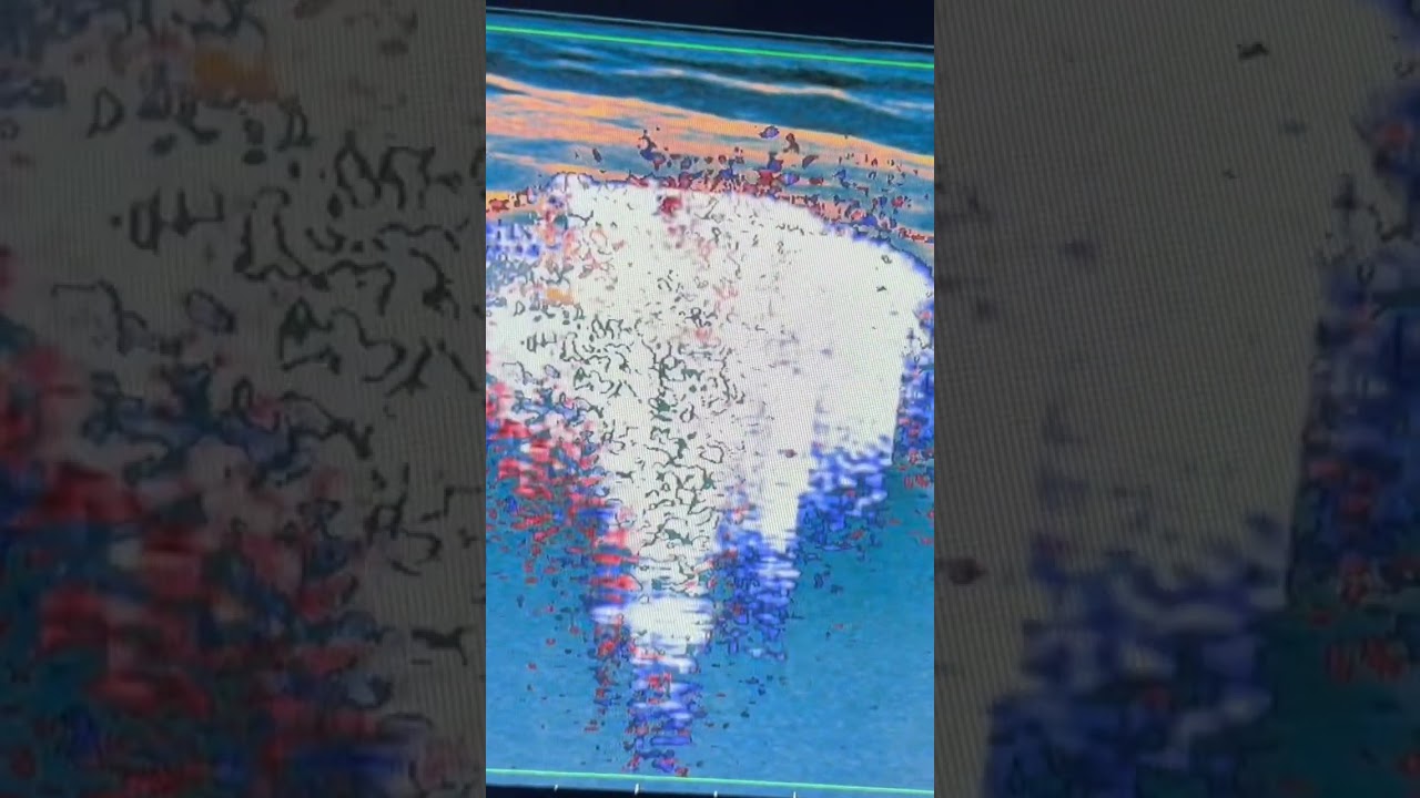 Roberto-Paolo Zambelli-21