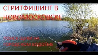 Рыбалка в новомосковск тульская область