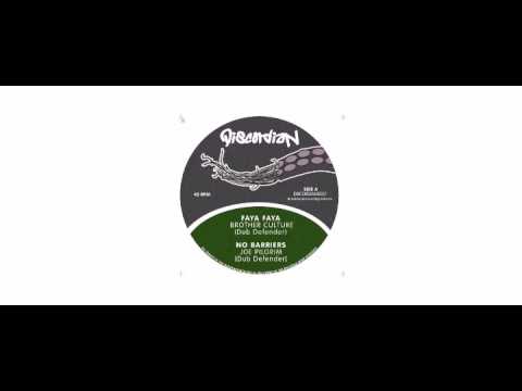 Brother Culture / Brother Joe Pilgrim - Faya Faya / No Barriers - 12" - Discordian