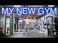 My New Gym Is Finally Open
