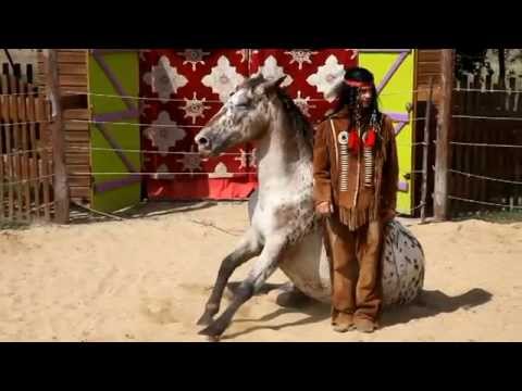 , title : 'L'indien - Spectacle cheval avec appaloosa'