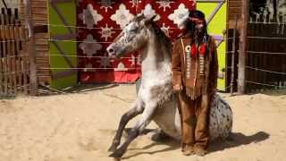 preview picture of video 'L'indien - Spectacle cheval avec appaloosa'