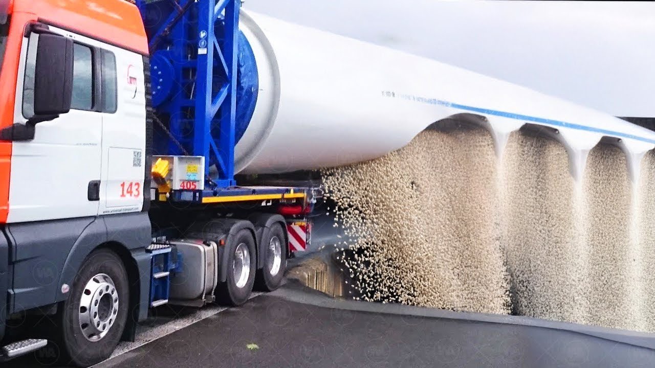 Por Eso Estados Unidos Arroja Millones de Moscas Sobre Las Hormigas