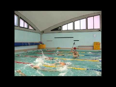 Master(izzati) Acquarama - Harlem Shake