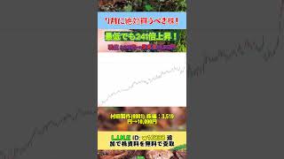 #株式投資#日本株#投資#資産運用#お金の勉強#投資初心者