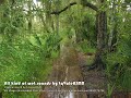 ASMR Wet Sounds