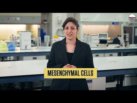 How to regenerate injured skin without scars - Madalena Gomes (Amsterdam UMC)