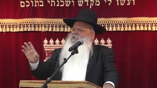 עומק הדין | קצרים | הרב דניאל זר