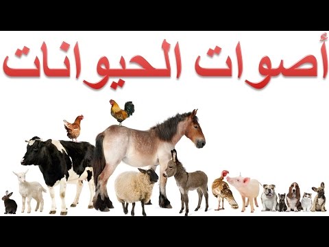 download lagu mp3 mp4 اصوات الحيوانات, download lagu اصوات الحيوانات gratis, unduh video klip اصوات الحيوانات