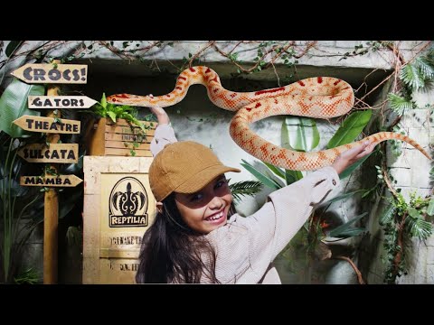 Would YOU Hold a Snake? Azmina Takes the CHALLENGE at Reptilia!