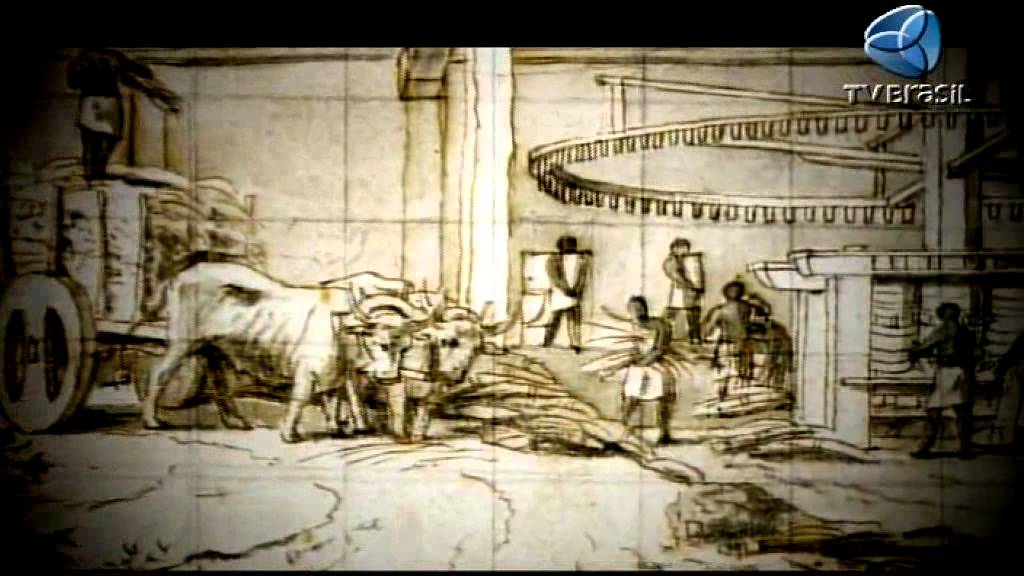 Guerra pelo açúcar - Histórias do Brasil (3/10)