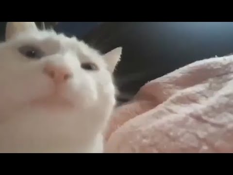 wrutas x Hupa - Bardzo Fajna Piosenka