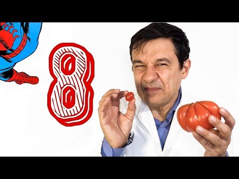 Risultato di vermi di uovo Helminths a pappagalli ondulati