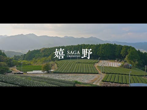 佐賀県嬉野エリアの魅力を発見する自転車旅