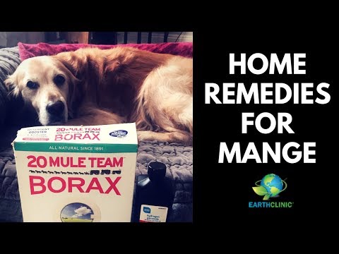 Home Remedies for Mange | Ted's Famous Borax for Mange Treatment