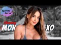 Morgan Lanexo The Inspiring Journey Of A Fashion Icon Lifestyle Biography Net Worth