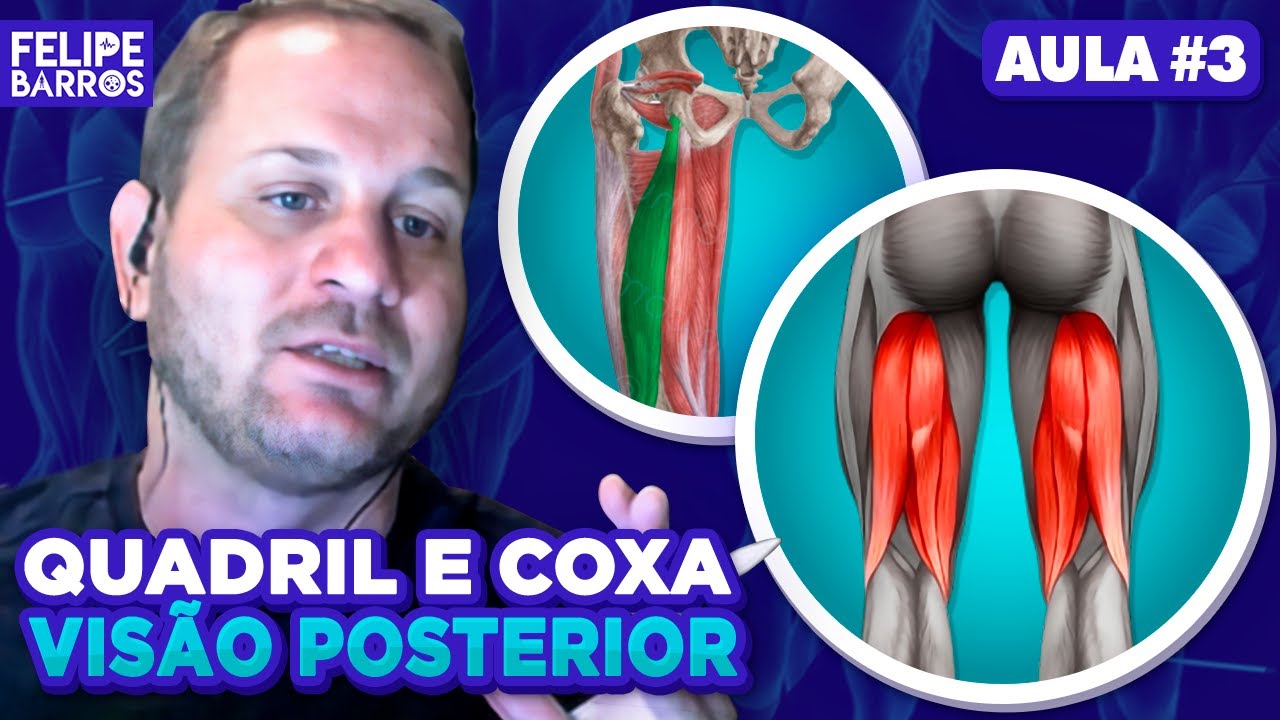 MÚSCULOS POSTERIORES DE QUADRIL E COXA l Prof. Felipe Barros