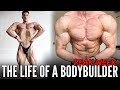 3 DAYS IN THE LIFE OF A BODYBUILDING COMPETITOR | Peak Week Highlights w/ Brandon Harding