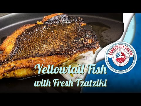 Chermoula Rubbed Yellowtail Fish with Fresh Tzatziki