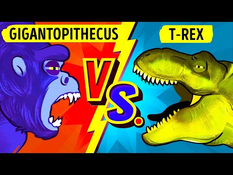 Echter King Kong vs. T-Rex: Showdown der Giganten