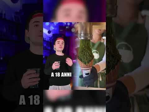 14 anni vs 18 anni vs 30 anni 🥴🍷 • #umorismo #parodia #30anni #risate #comico