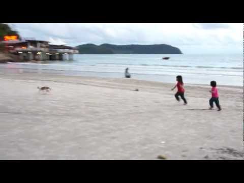 kejar kucing langkawi