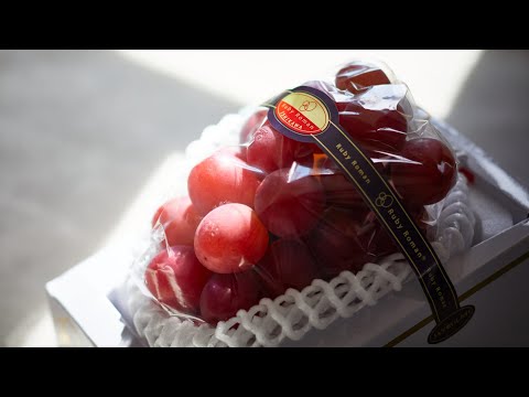 Top Ten Expensive Fruit In The World