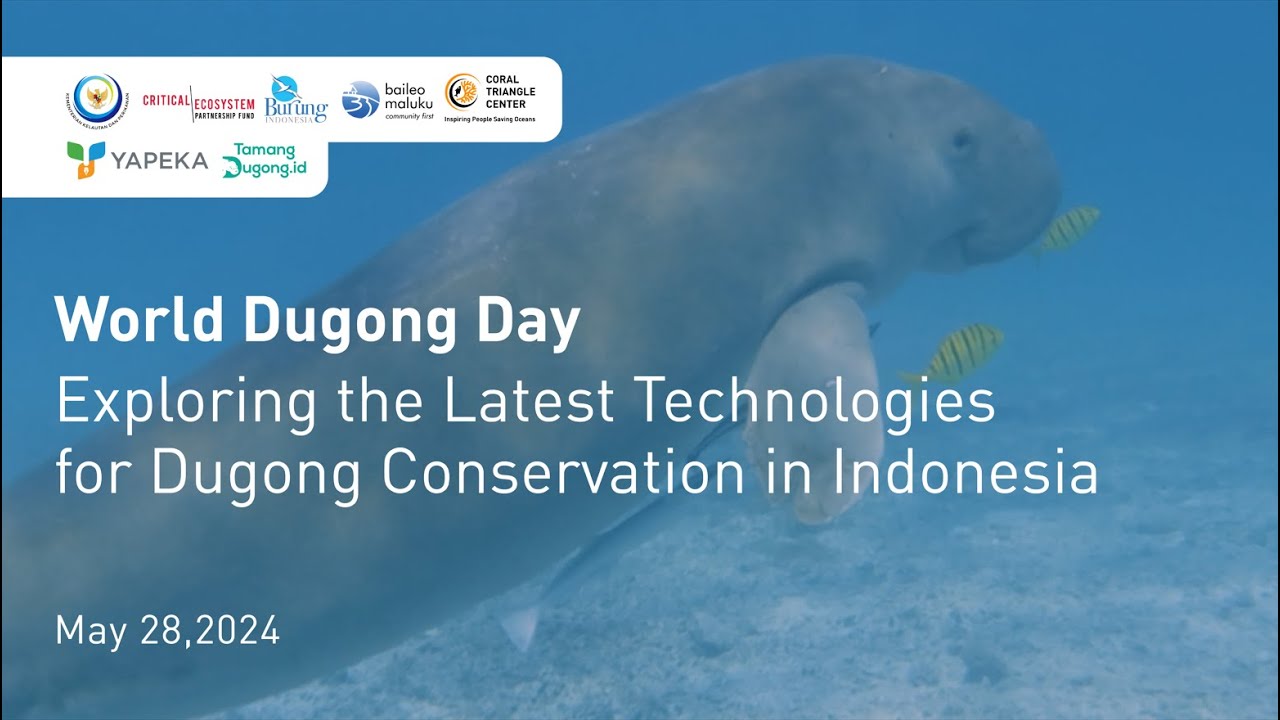 Exploring the Latest Technologies for Dugong Conservation in Indonesia