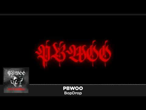PBWOO - BopDrop (Official Music Visualizer)