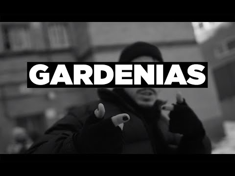 TRUSTY X VIAOTICA - Gardenias (Video)