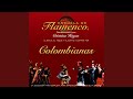 Colombianas: Escobilla Media 160 (Cante y Guitarra)
