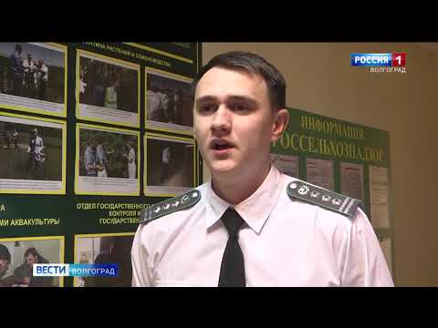 В Волгоградской области Управлением Россельхознадзора осуществлен контроль за оборотом лекарственных средств для животных