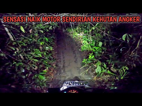 NAIK MOTOR MASUK HUTAN SAAT HUJAN JAM 12 MALAM! BEGINI SENSASI DIGANGGU SETAN DIHUTAN!