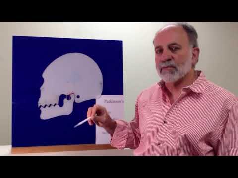 Parkinson's Resource Organization — Wellness Village interview