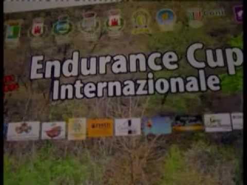 ONDA TG 23.04.2013 - ENDURANCE CUP 2013
