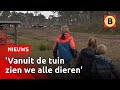 Stan 'woont' tijdelijk in de Beekse Bergen | Omroep Brabant
