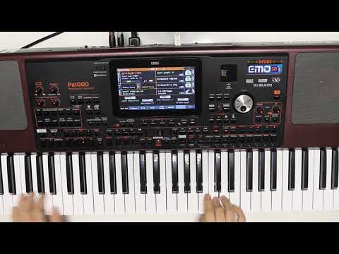 DİL YARASI KORG PA1000