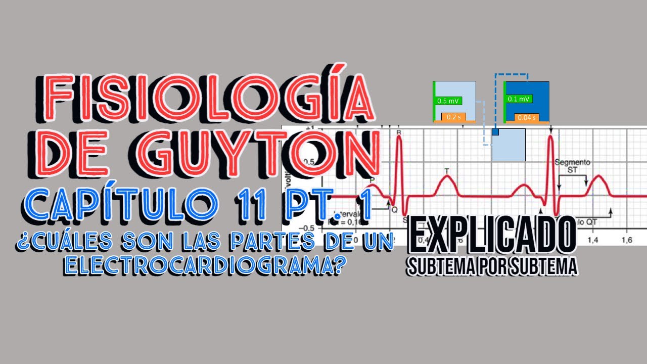 CAP 11 (1/2): Fundamentos del electrocardiograma l Fisiología de Guyton