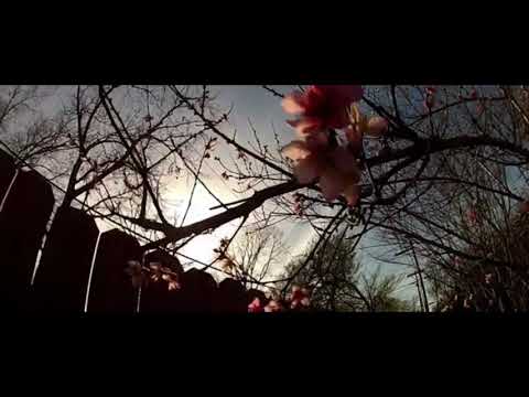 If Only You - Philipp Semingo